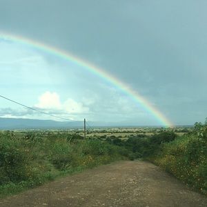 Meet your Posher, Ale